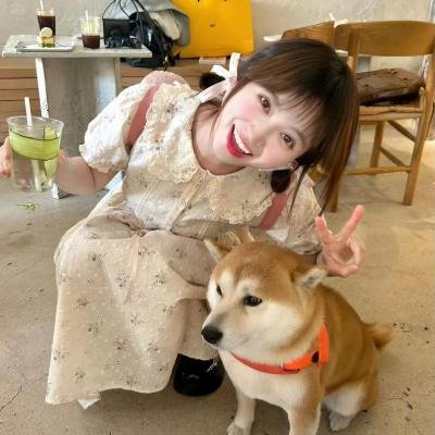 看不见的城市第二季